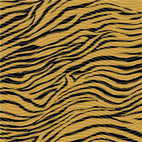 holographic Big- 372